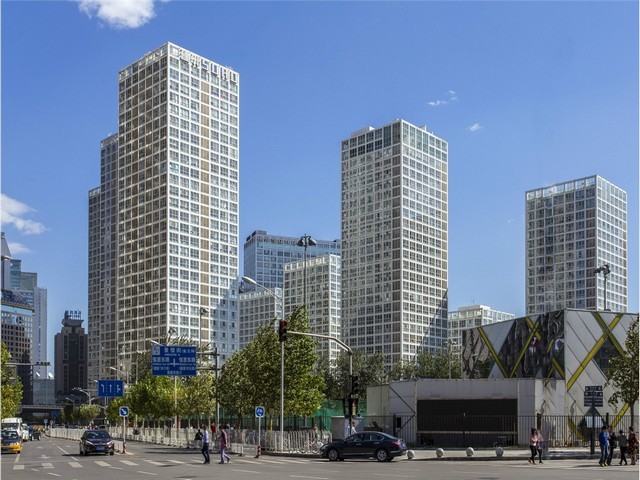 江苏有机灰树花栗蘑